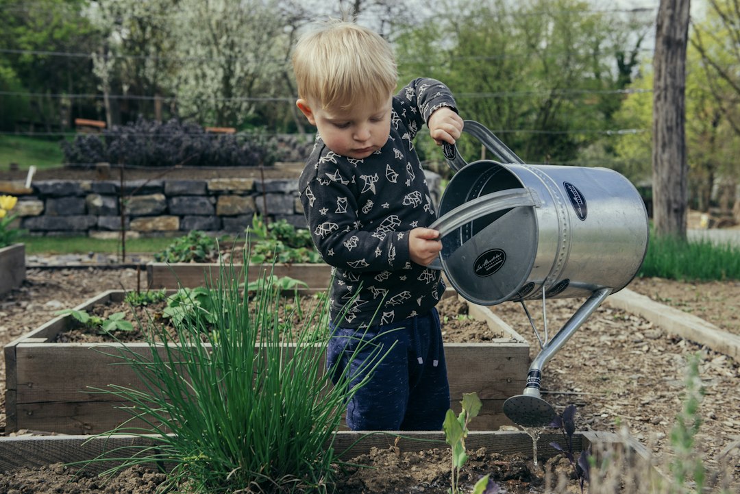 Child watering garden plants as part of nature and science learning